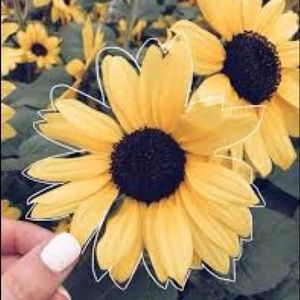 Meet your Posher, Blayklyn